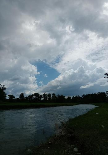 Bilde i galleriet til Elephant Kite i Bharatpur