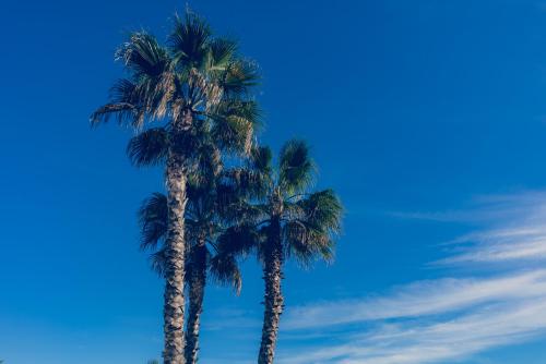 Apartamento Premium con Jacuzzi y vistas al mar en Punta Prima, Torrevieja by Rentalole photo 36