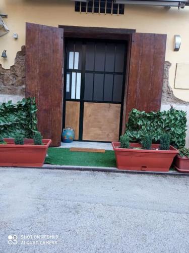 three plants in pots in front of a building at Appartamento il Borgo di Baroncino in Faiano