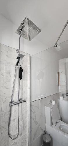 a bathroom with a shower and a toilet at Casa Lima - AL in Valença