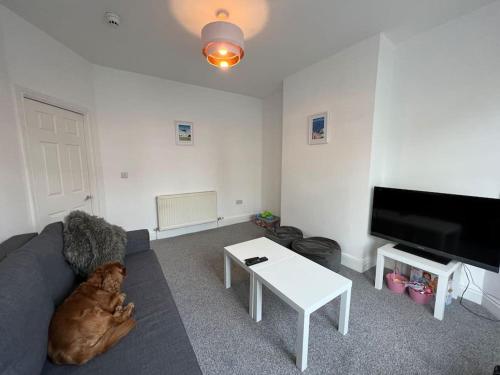 濱海聖安妮斯的住宿－New Flat in Lytham St Annes - Sleeps 4，客厅的沙发上躺着狗