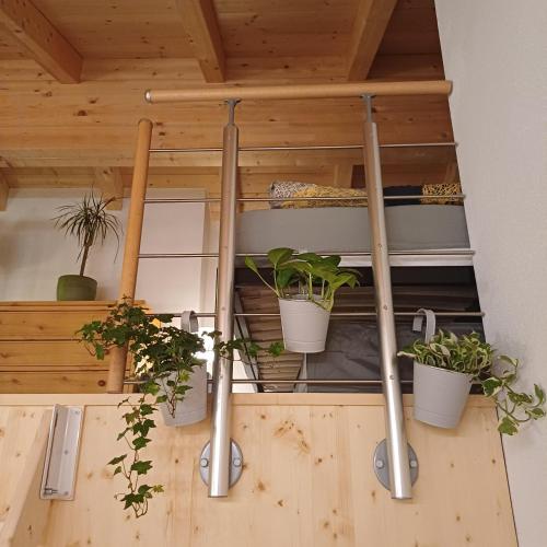 a bunch of potted plants on a shelf at Bei Hillers in Obing
