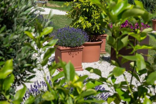 a row of potted plants in a garden at Seehotel Restaurant Lackner in Mondsee