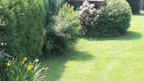 Κήπος έξω από το Ferienwohnung MW 1b 82m2 Höxter Weserbergland Weser inkl 2 Terrassen Wäsche und Endreinigung Self CheckIn