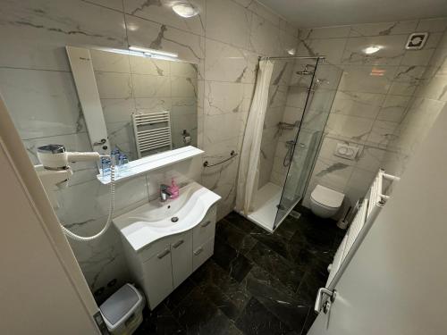 ŠentjernejにあるGostišče pri Slavcuの洗面台、シャワー、トイレ付きのバスルーム