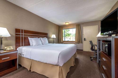 瓦恩蘭的住宿－葡萄園戴斯汽車旅館，酒店客房设有一张大床和一台电视。