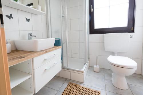 La salle de bains est pourvue de toilettes, d'un lavabo et d'une douche. dans l'établissement Ferienhaus Nr 4, Kategorie Premium L, Feriendorf Hochbergle, Allgäu, à Bichel