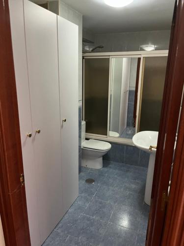 uma casa de banho com um WC e um lavatório em Apartamentos Fele2 em Felechosa