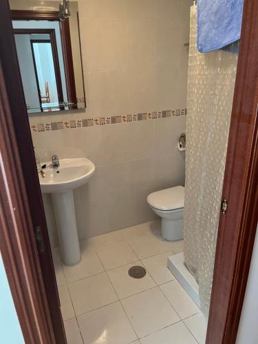 uma casa de banho com um lavatório, um WC e um espelho. em Apartamentos Fele2 em Felechosa