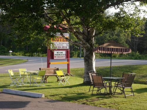 um grupo de mesas e cadeiras debaixo de uma árvore em The Silver Birch Motel em Goderich