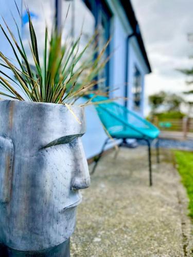 a statue of a face with a plant in a pot at Bungalow, mountain and sea views parking in Aberdyfi