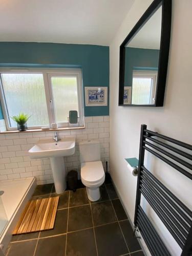 a bathroom with a sink and a toilet and a mirror at Bungalow, mountain and sea views parking in Aberdyfi