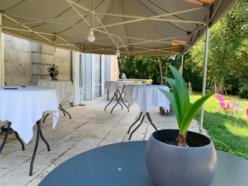 a potted plant sitting on a table under a tent at Château de Lagravade - Appartement 2 chambres - 3eme étage in Layrac