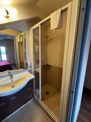 een badkamer met een douche en een wastafel bij O Barcaiolo in Conflans-Sainte-Honorine