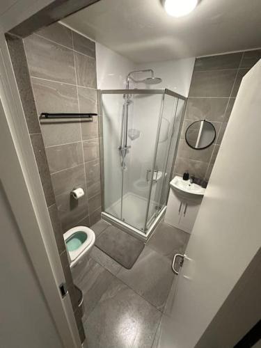 uma casa de banho com um chuveiro, um WC e um lavatório. em Central & Spacious Centre Apt em Dublin