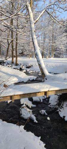a wooden bridge in the snow with a tree at Chatky u potoka chatka n3 in Olešnice v Orlických horách