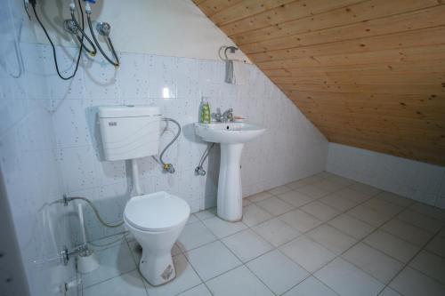 a bathroom with a toilet and a sink at Anand Homestay in Srinagar