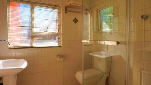 a bathroom with a toilet and a sink and a shower at Tasha Lodge & Tours in Livingstone