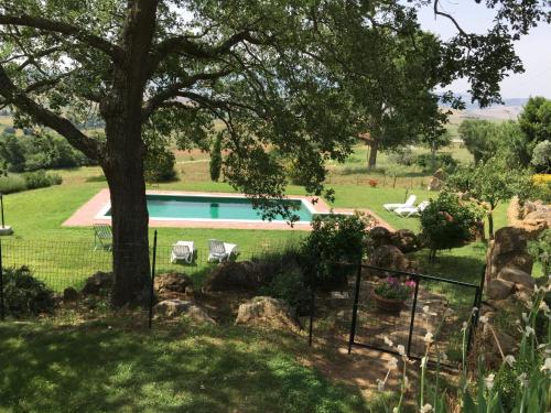una piscina en un patio con un árbol en Villa Fonte all'Oppio con area piscina recintata, en Pienza