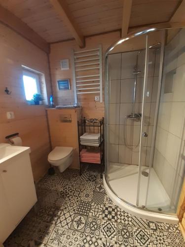 a bathroom with a shower and a toilet at Qubalonka Saunarium bis Bory Tucholskie in Karsin