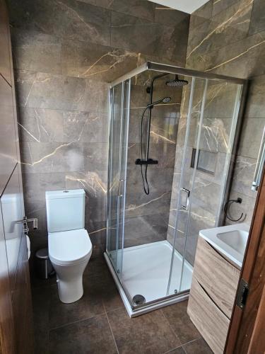 a bathroom with a shower and a toilet and a sink at Suaimhneas in Lahinch