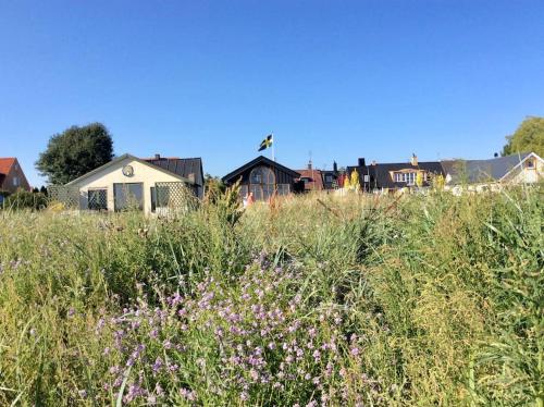 a field of tall grass with houses in the background at Huset i gränden - granne med havet in Trelleborg