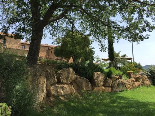 a rock wall in a yard with a tree at Villa Fonte all'Oppio con area piscina recintata in Pienza
