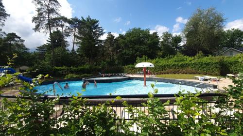 un grupo de personas en una piscina con sombrilla en Familiehuis de Lariks - 12 persoons villa op de Veluwe, en Otterlo