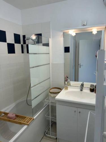une salle de bain avec un lavabo et une douche dans l'établissement Appartement Etape en presqu'île, à Crozon