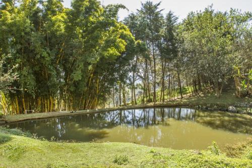 Landskap semula jadi dekat dengan inn ini
