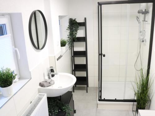 a bathroom with a sink and a shower at Heimat Goslar Apartments "Zur Altstadt" in Goslar