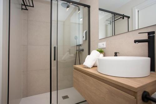 バレンシアにあるPoeta Llombart Apartmentのバスルーム(洗面台、ガラス張りのシャワー付)