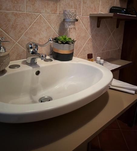 ein Waschbecken mit Topfpflanze darauf in der Unterkunft Dimora Selù in Laurino