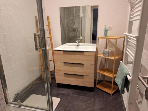 une salle de bain avec un lavabo et une douche dans l'établissement Urban green spirit, centre historique, à Mulhouse