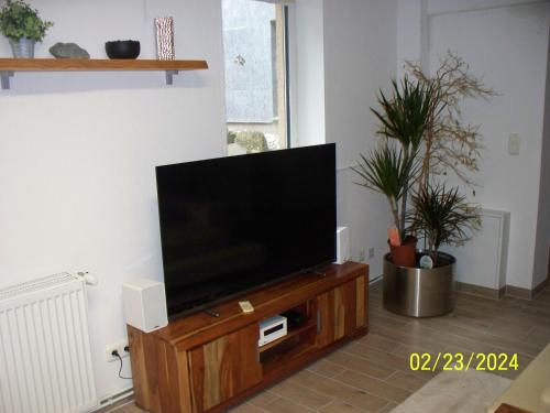 TV de pantalla plana en un soporte de madera en la sala de estar. en Villa Rogge, en Berlín