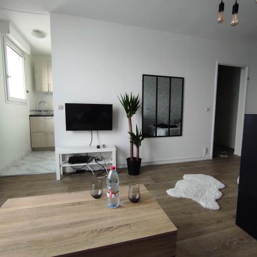 a living room with a bottle of water on a coffee table at Studio Cosy Elancourt, Les terrasses d'Héricé in Élancourt