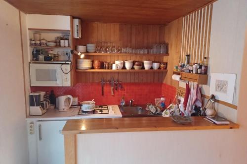 une cuisine avec un évier et un plan de travail dans l'établissement Large studio in Saint-Chaffrey, à Saint-Chaffrey