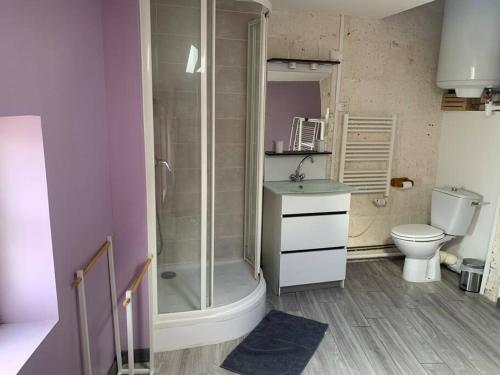 y baño con ducha, aseo y lavamanos. en La Tour - Hyper Centre - Place du Palet en Angoulême