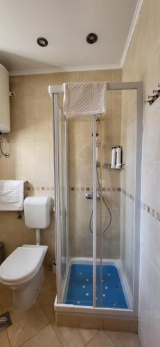 a bathroom with a shower with a toilet at Apartments Miljas 1 in Dubrovnik