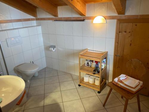 a bathroom with a toilet and a sink at Apartment Landhaus Bachwinkl in Reit im Winkl