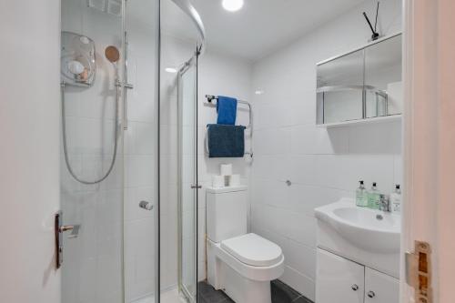 W łazience znajduje się prysznic, toaleta i umywalka. w obiekcie 2 Bedroom Apartment Near City Centre, Uni & Parks! w Cardiff