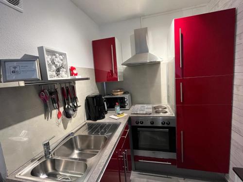una cucina con armadi rossi e un lavandino in acciaio inossidabile di Rosenhirsch Ferienwohnung ad Altenau