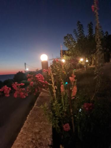 a garden with flowers and street lights at night at VILLA VRACHOS Preveza in Vráchos