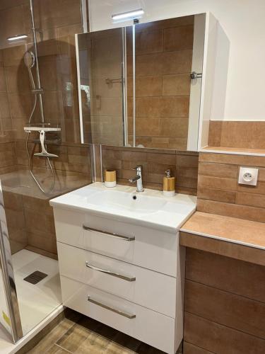 een badkamer met een witte wastafel en een douche bij Bel Appartement indépendant lumineux - St-Maximin in Saint-Maximin-la-Sainte-Baume