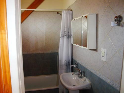 a bathroom with a sink and a shower at Apart Don Felipe in El Calafate