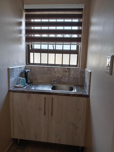 a kitchen with a sink and a window at AMANI PALMS GUEST HOUSE in Klerksdorp