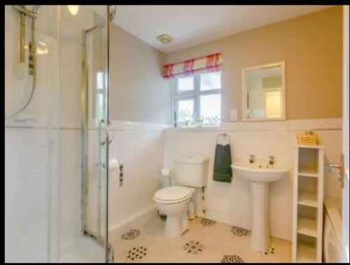 a bathroom with a toilet and a sink and a shower at The Nook located in a beautiful garden setting with parking in Stratford-upon-Avon