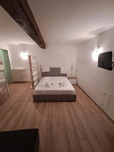 um quarto com uma cama e uma televisão na parede em Borgo Guazzo 24 em Parma