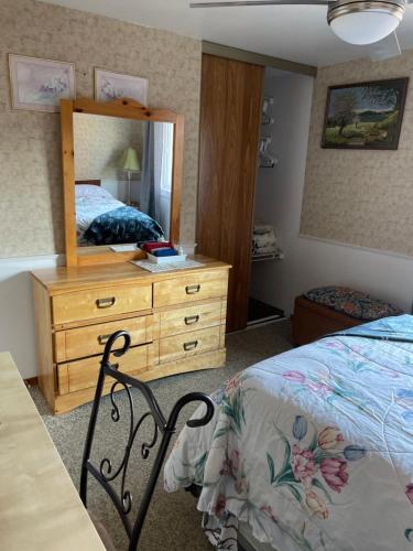 a bedroom with a bed and a dresser and a mirror at Comfortable stay in Milton