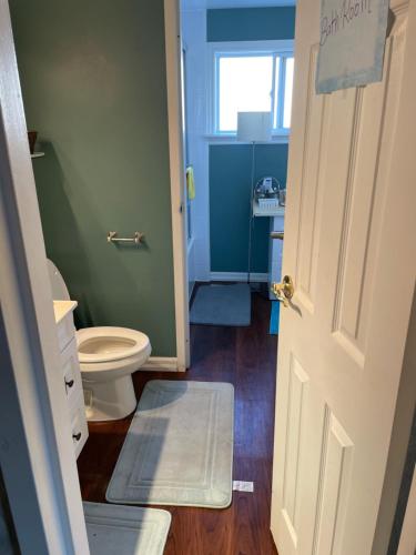 een badkamer met een toilet en een wastafel bij Comfortable stay in Milton